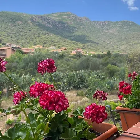 Bed & Breakfast La Quercia