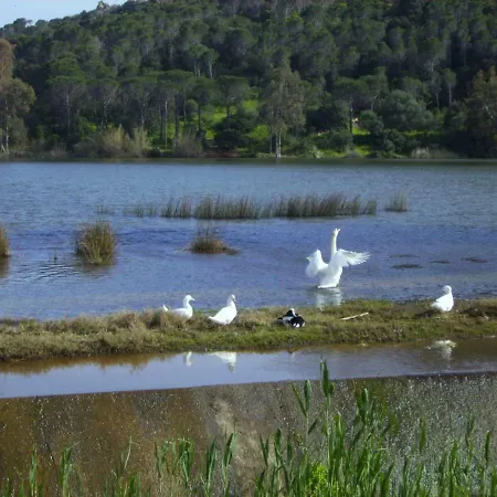 Holiday home La Quercia *
